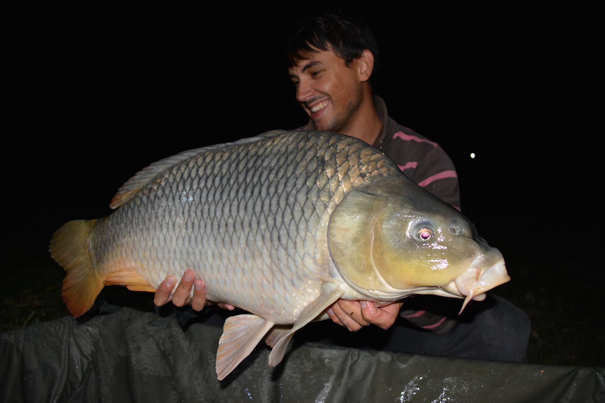 Hermes Peris 12 - 14 septembrie 2014 - dsc0111.JPG